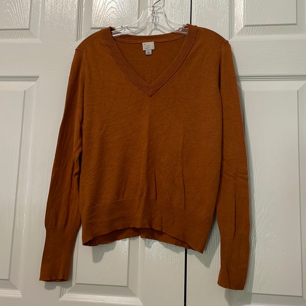 Target Burnt Orange Long Sleeve Sweater